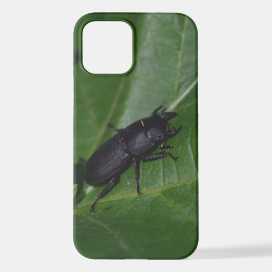 Dorcus paralllipipedus 、レッサークワッド iPhoneケース (裏面)
