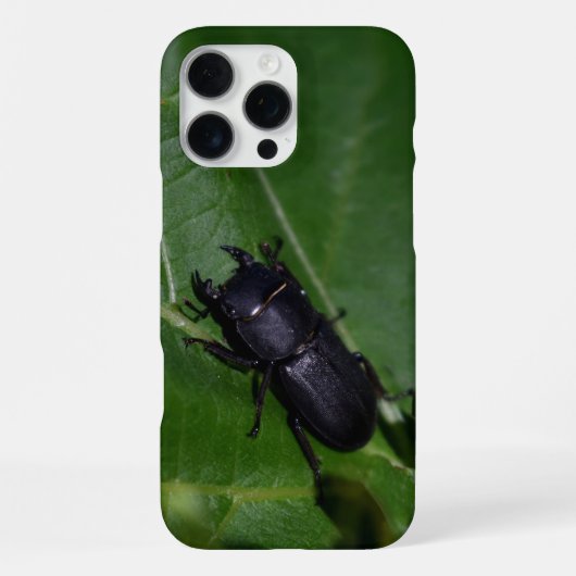Dorcus paralllipipedus 、レッサークワッド iPhoneケース (裏面)