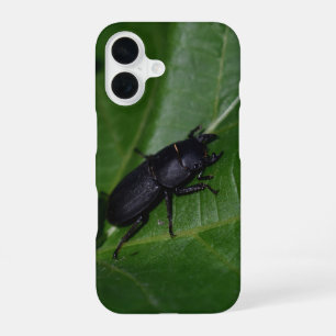 Dorcus paralllipipedus 、レッサークワッド iPhone 16ケース
