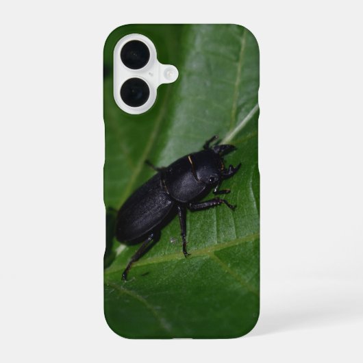 Dorcus paralllipipedus 、レッサークワッド iPhone 16ケース (裏面)