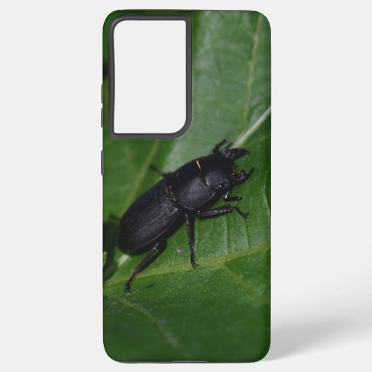 Dorcus paralllipipedus 、レッサークワッド samsung galaxyケース (裏面)