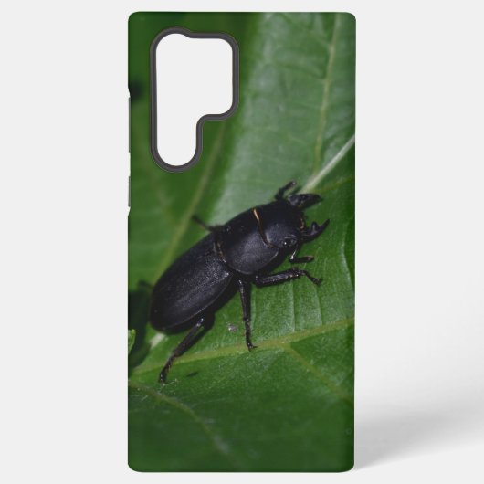 Dorcus paralllipipedus 、レッサークワッド samsung galaxyケース (裏面)