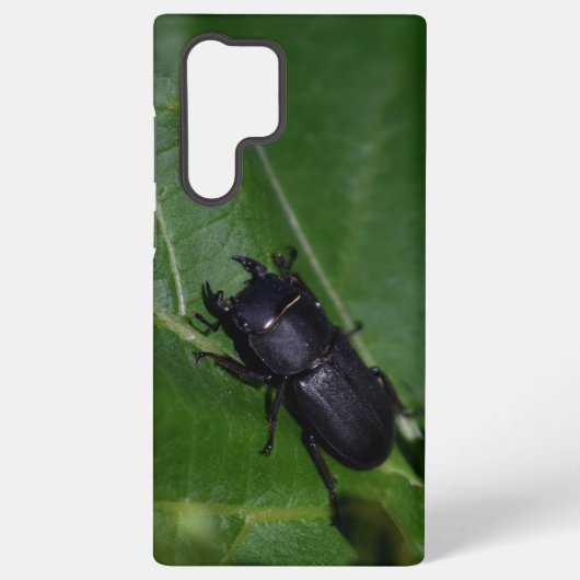 Dorcus paralllipipedus 、レッサークワッド samsung galaxyケース (裏面)