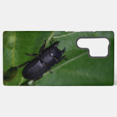 Dorcus paralllipipedus 、レッサークワッド samsung galaxyケース (裏面横)