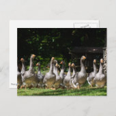 Dordoneはがき内のゲーゼ ポストカード (正面/裏面)