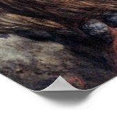 DORE-TWO OWLS-PRINT ポスター (角)