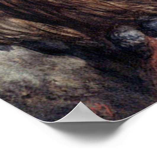 DORE-TWO OWLS-PRINT ポスター (角)