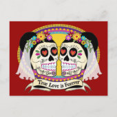 Dos Novias (2つのつばき)はがき ポストカード (正面)