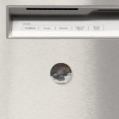 Dot.caマグネット マグネット (インサイチュ (食洗機))