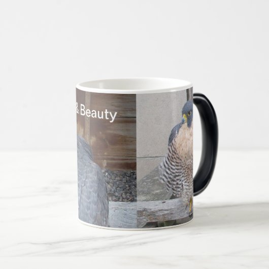 Dot.ca及び美しいのマグ モーフィングマグカップ (正面右)