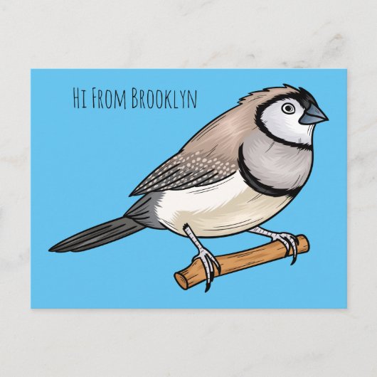 Double-barred finch bird cartoon illustration ポストカード (正面)