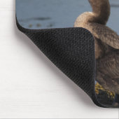 Double breasted cormorant マウスパッド (コーナー)