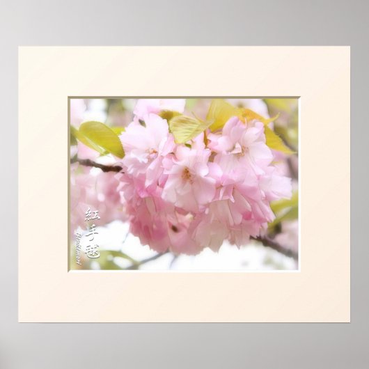 Double Cherry Blossom: Benitemari ポスター (正面)