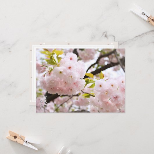 Double Cherry Blossom: Oh-jochin カード (正面/裏面インサイチュ)