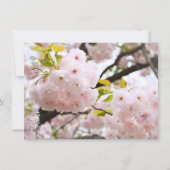 Double Cherry Blossom: Oh-jochin カード (正面)