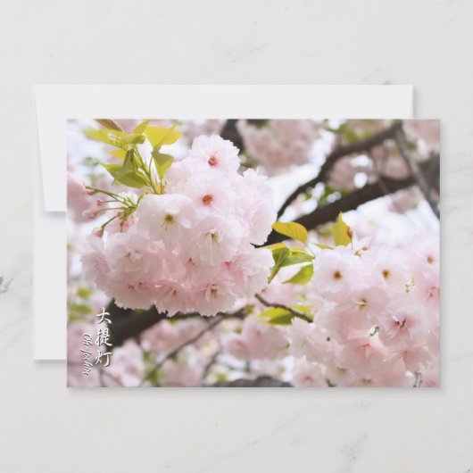 Double Cherry Blossom: Oh-jochin カード (正面)