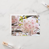 Double Cherry Blossom: Oh-jochin カード (正面/裏面インサイチュ)