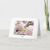 Double Cherry Blossom: Oh-jochin カード (裏面)