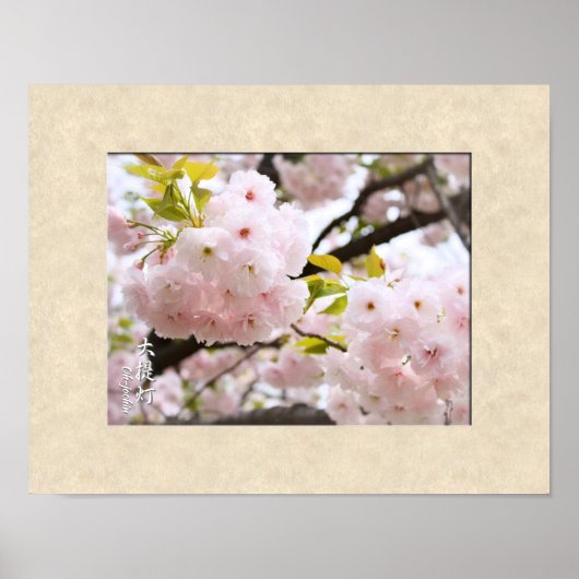 Double Cherry Blossom: Oh-jochin ポスター (正面)