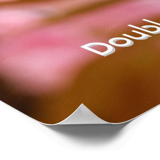 Double Cherry Blossom: Sato-zakura ポスター (角)