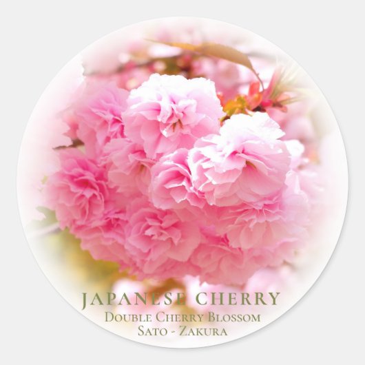 Double Cherry Blossom: Sato-zakura ラウンドシール (正面)