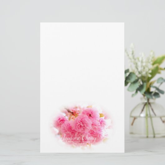Double Cherry Blossom: Sato-zakura 便箋 (スタンド正面)