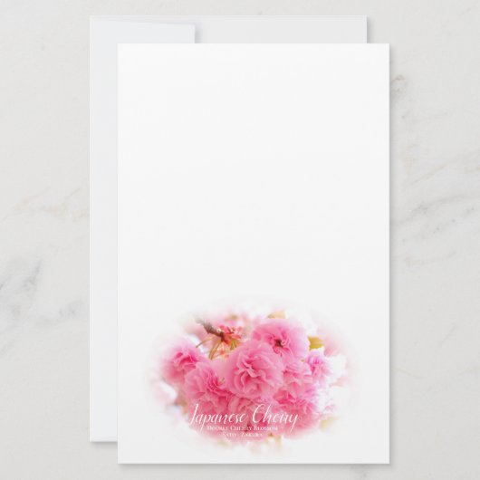 Double Cherry Blossom: Sato-zakura 便箋 (正面)