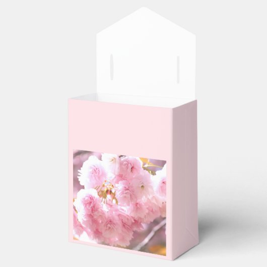 Double cherry blossoms：Faver Box フェイバーボックス (オープン)