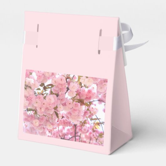 Double cherry blossoms:Faver Box フェイバーボックス (裏面サイド)