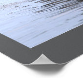 Double-crested Cormorant Bird Poster ポスター (角)