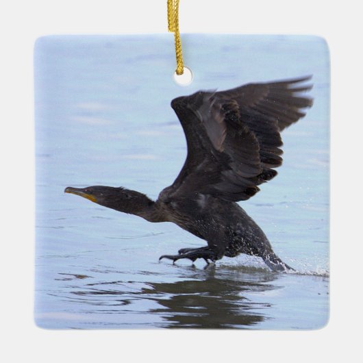 Double-crested Cormorant Ornament  セラミックオーナメント (正面)