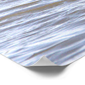 Double-crested Cormorant Poster ポスター (角)