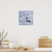Double-crested Cormorant Poster ポスター (キッチン)