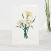 Double Daffodil,  Pierre-Joseph Redouté, 1827 カード (正面)