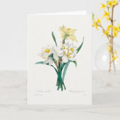 Double Daffodil,  Pierre-Joseph Redouté, 1827 カード (黄色い花)