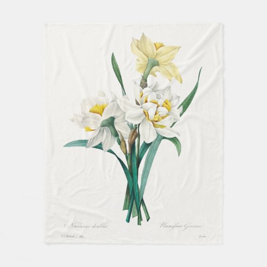 Double Daffodil,  Pierre-Joseph Redouté, 1827 フリースブランケット (正面)