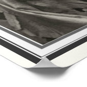 Double Image Alphonseミュシャポスター16 x 20 ポスター (角)