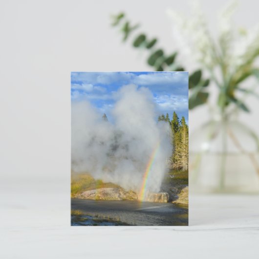 Double Rainbow at Riverside Geyser, Yellowstone ポストカード (スタンド正面)