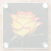 Double Red and Yellow Rose Bloom ガラスコースター (裏面)