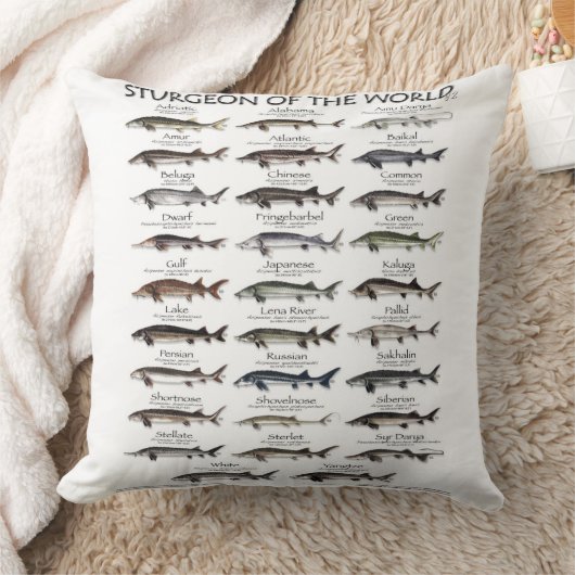 DOUBLE SIDED PILLOW -STURGEON OF THE WORLD  クッション (ブランケット)