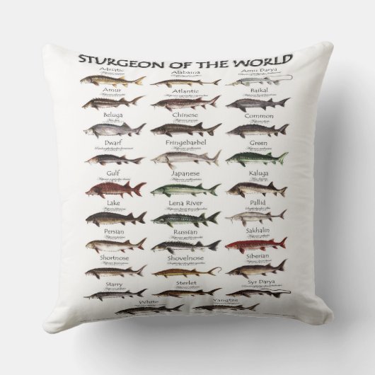 DOUBLE SIDED PILLOW -STURGEON OF THE WORLD  クッション (裏面)