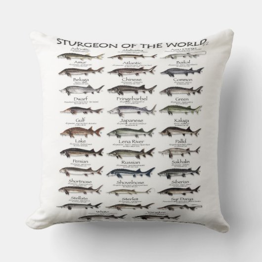 DOUBLE SIDED PILLOW -STURGEON OF THE WORLD  クッション (正面)