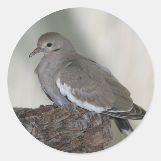 Doveステッカーを修正 ラウンドシール (正面)