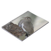 Doveノートブックを構成 ノートブック (左側)