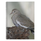 Doveノートブックを構成 ノートブック (正面)
