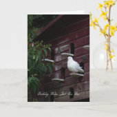 Dove誕生日グリーティングカード カード (黄色い花)