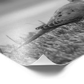 Dove Birdフォトプリント フォトプリント (角)