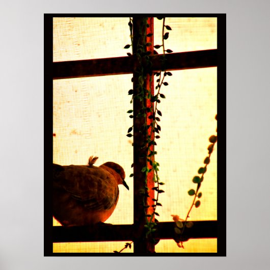 Dove in a Dust Storm ポスター (正面)