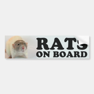 (Dove) Rats on board バンパーステッカー