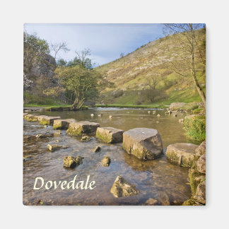 Dovedale, Derbyshire Peak District記念写真 マグネット